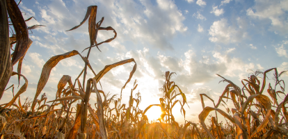 Wie steht die Schweiz zu myclimate und zum Klimaschutz?